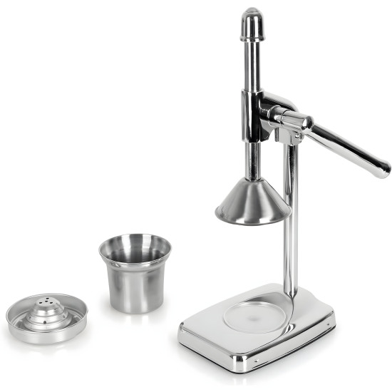Fruit Juicer